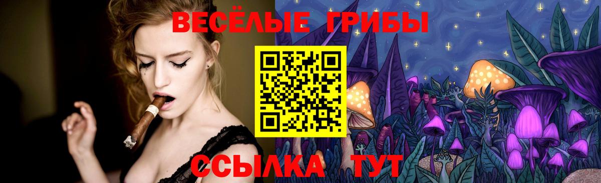 Кириши  Псилоцибиновые грибы MAGIC MUSHROOMS  Вход с VPN 