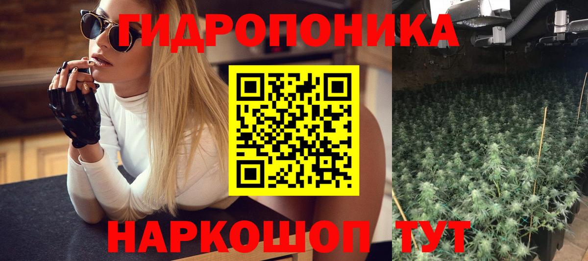 Кириши  Шишки марихуана OG Kush  Вход с VPN  Канабис White Widow  МАРИХУАНА планчик 